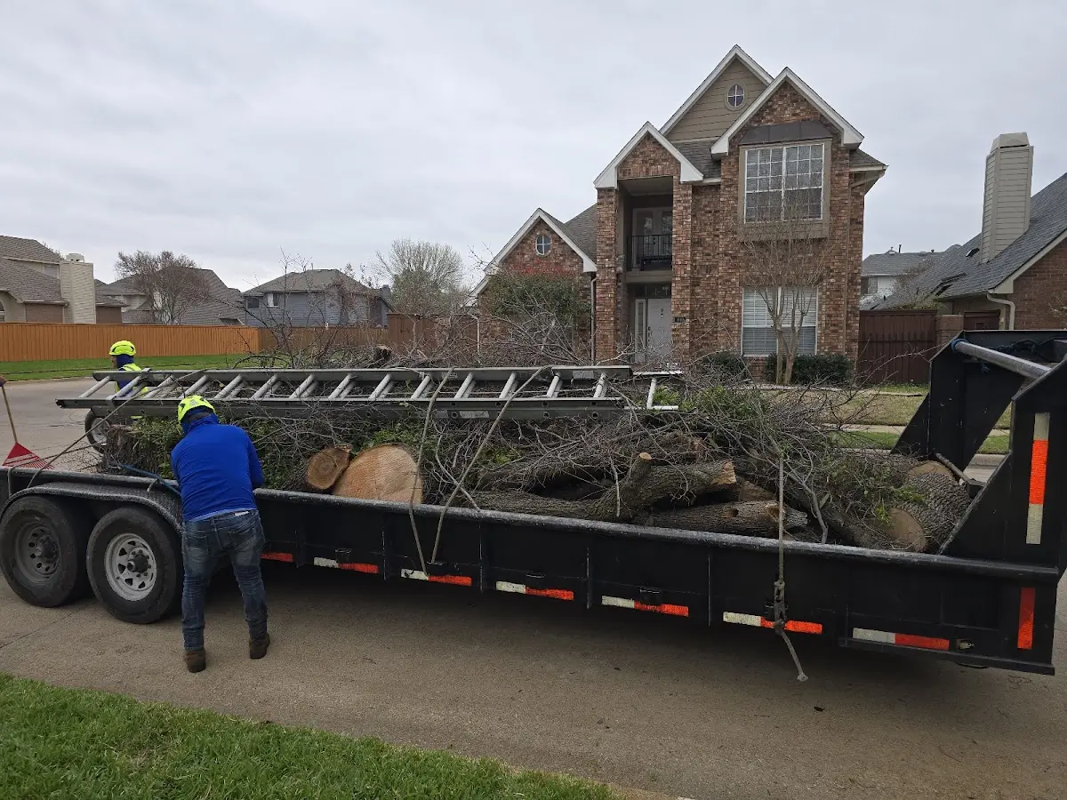 Expert Tree Pest Control with proper safety equipment in Trout Creek